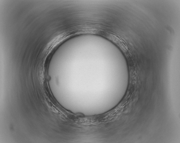 X0000115540338200911201744