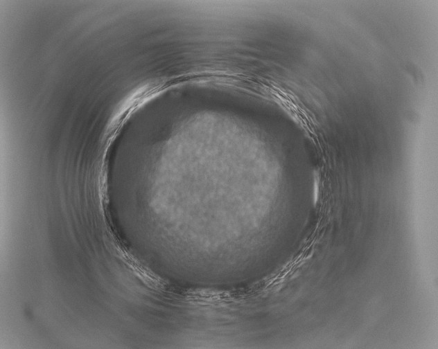 X0000115540339200911201744