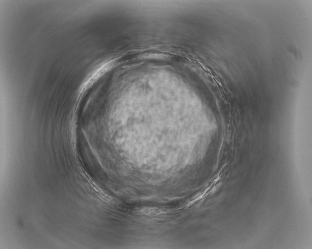 X0000115540341200911201744