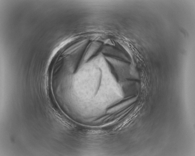 X0000115540342200911201744