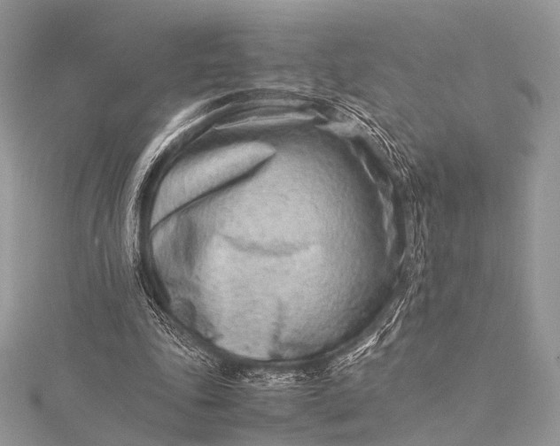 X0000115540343200911201744