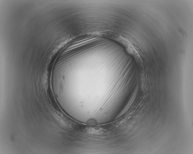 X0000115540346200911201744