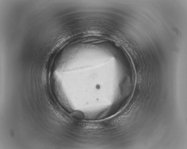 X0000115540347200911201744