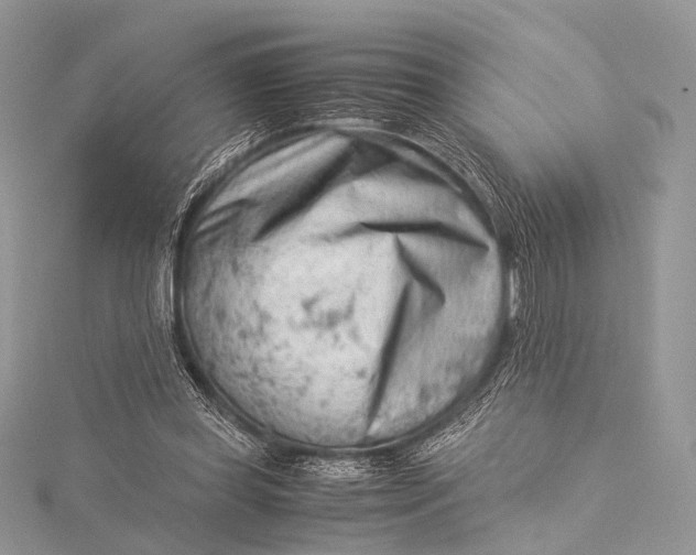 X0000115540349200911201744