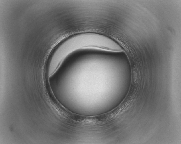 X0000115540350200911201744