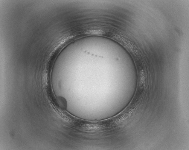 X0000115540351200911201744