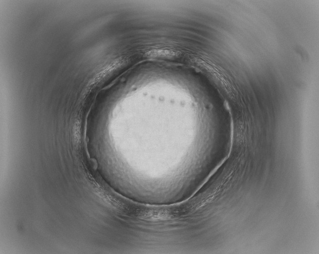 X0000115540353200911201744