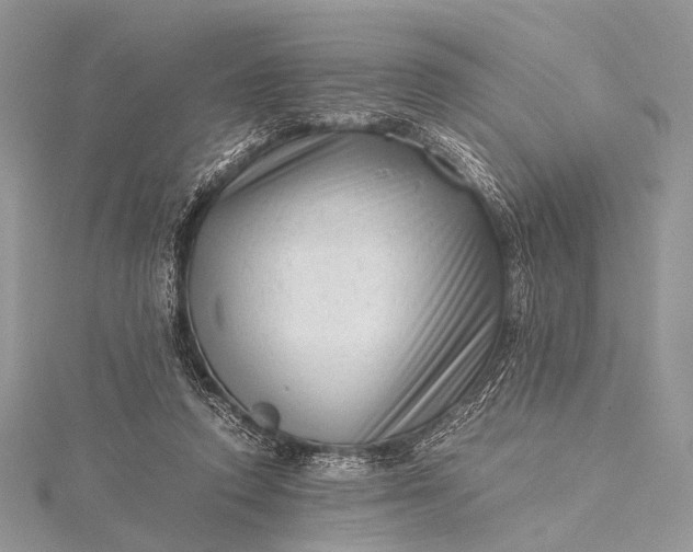 X0000115540354200911201744