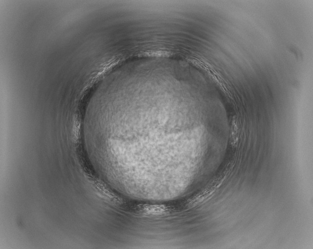 X0000115540355200911201744