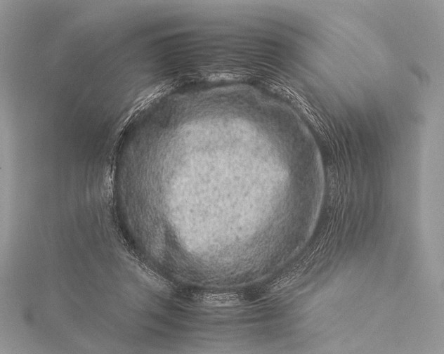 X0000115540357200911201744