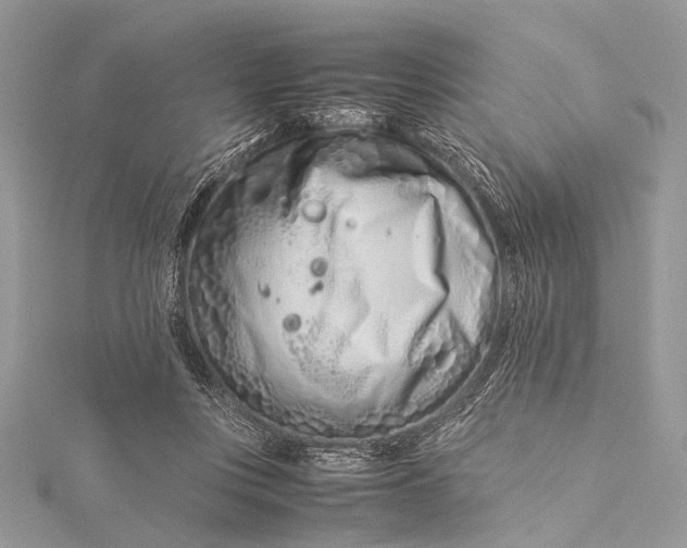 X0000115540359200911201745