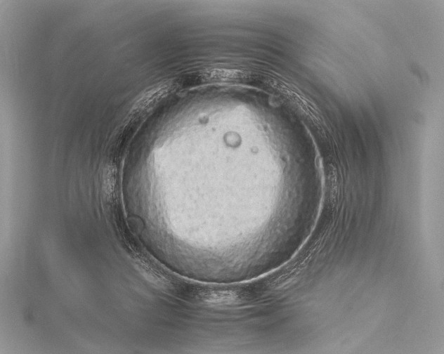 X0000115540361200911201745