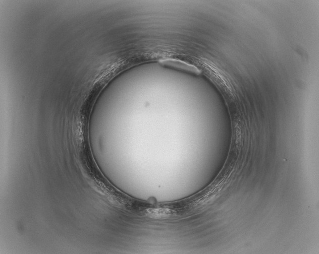 X0000115540362200911201745