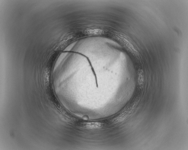 X0000115540363200911201745