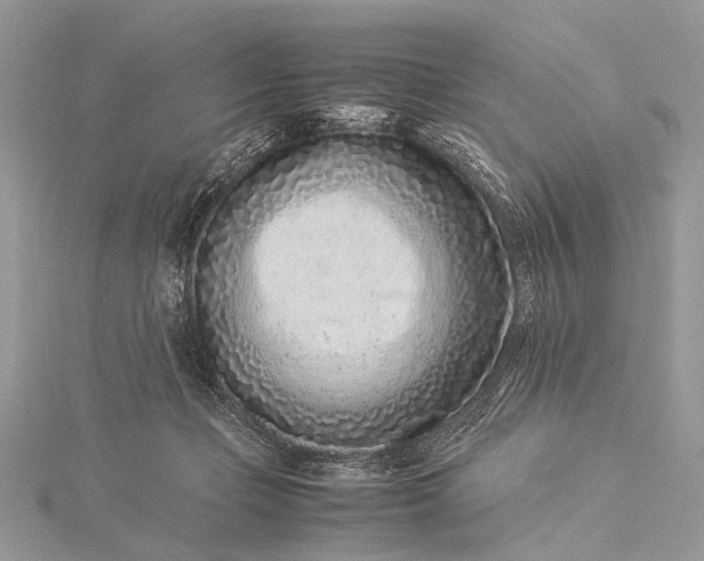 X0000115540365200911201745