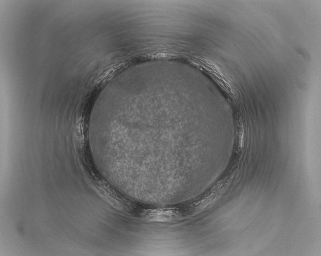 X0000115540366200911201745