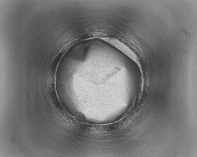 X0000115540367200911201745