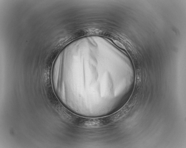 X0000115540369200911201745