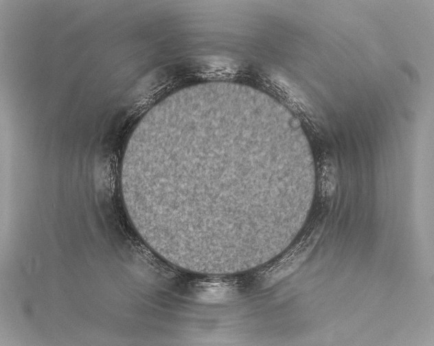 X0000115540370200911201745