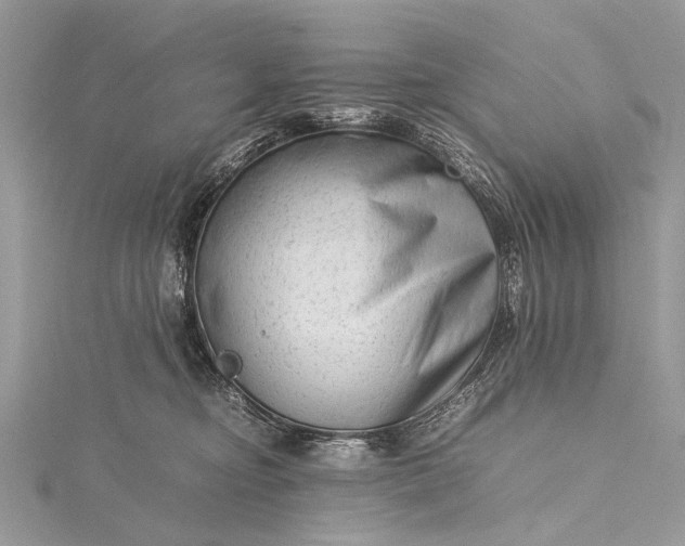 X0000115540374200911201745