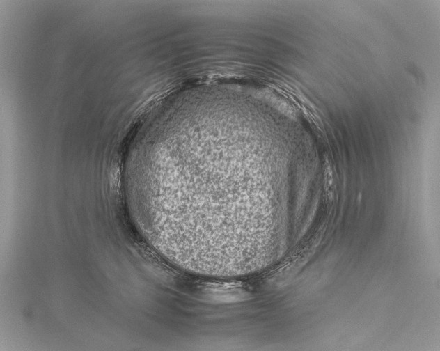 X0000115540375200911201745