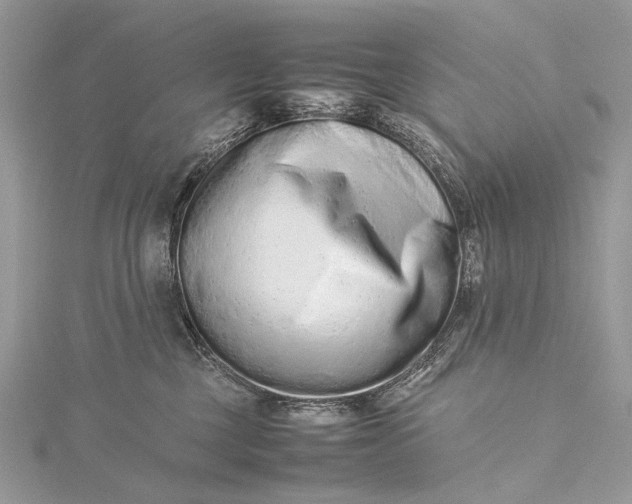 X0000115540377200911201745