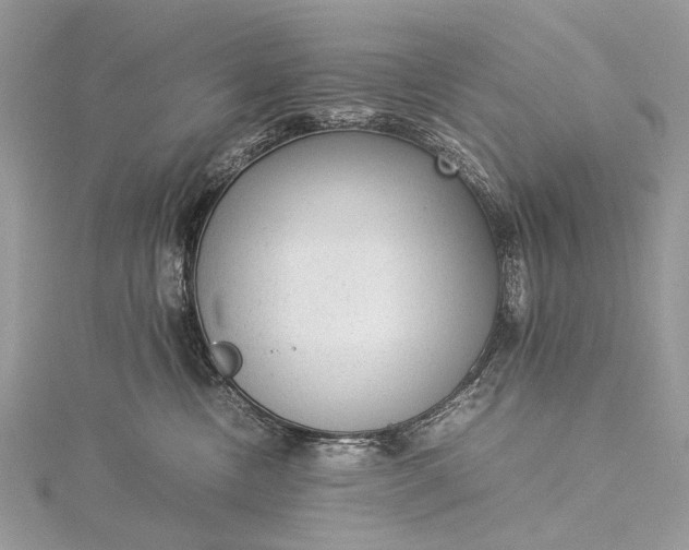 X0000115540378200911201745