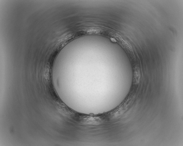 X0000115540379200911201745