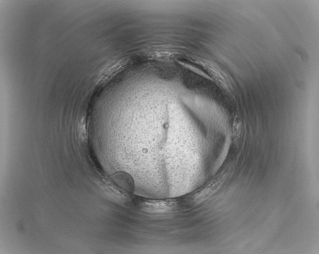 X0000115540381200911201745