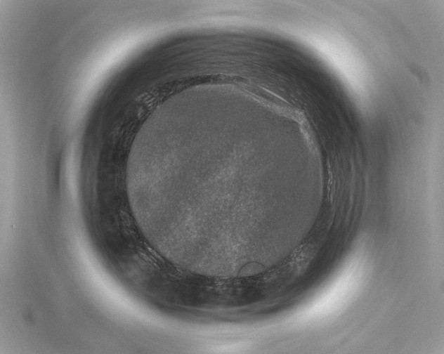 X0000115540383200911201745