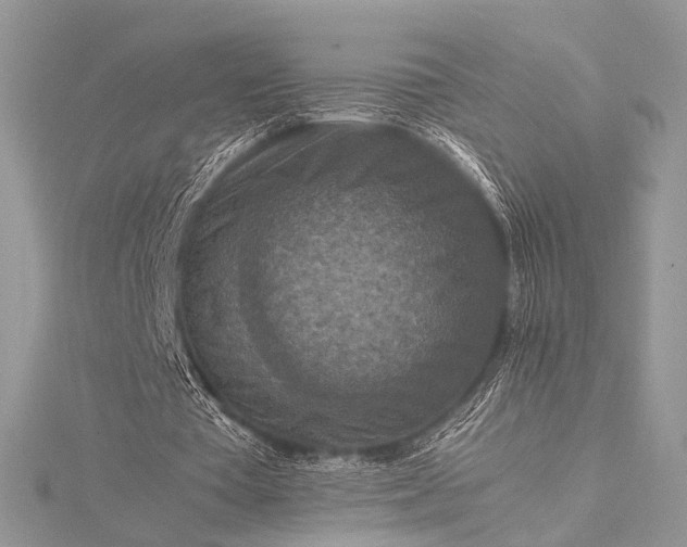 X0000115540385200911201744