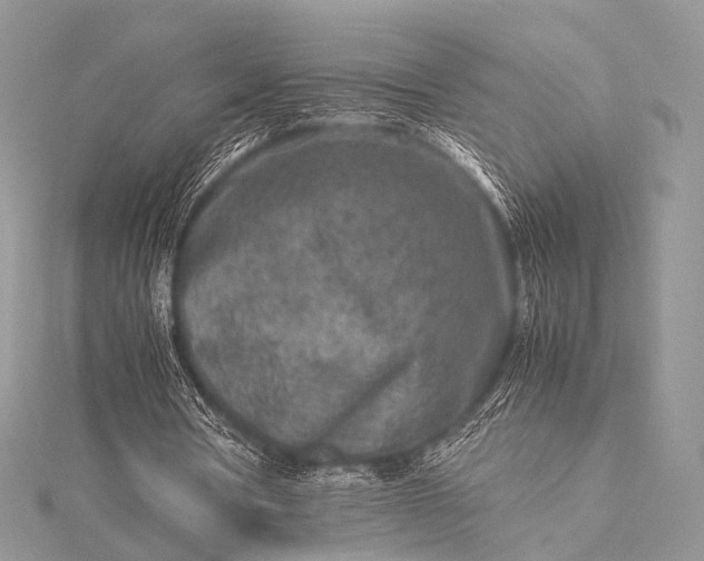 X0000115540386200911201744