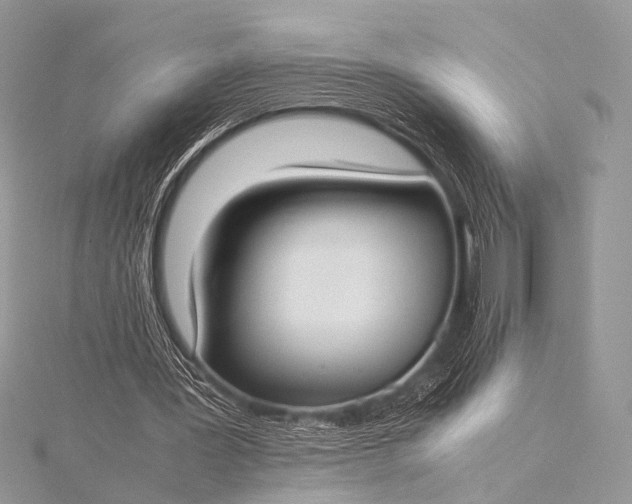 X0000115540387200911201744