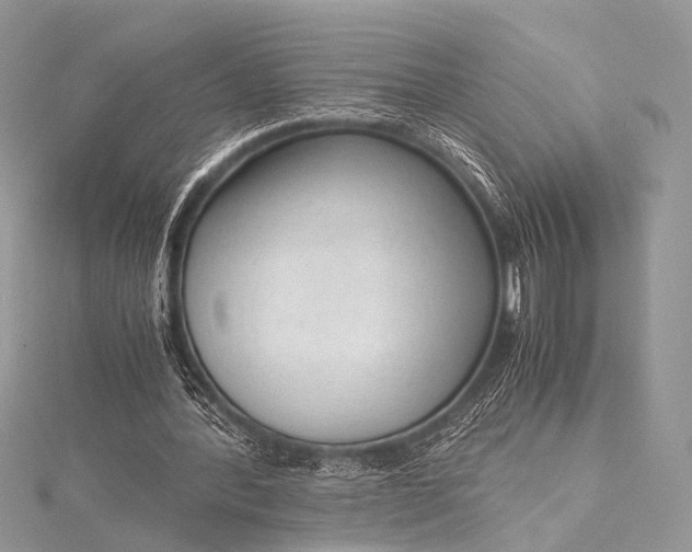 X0000115540388200911201744