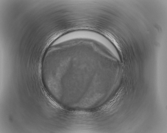 X0000115540389200911201744