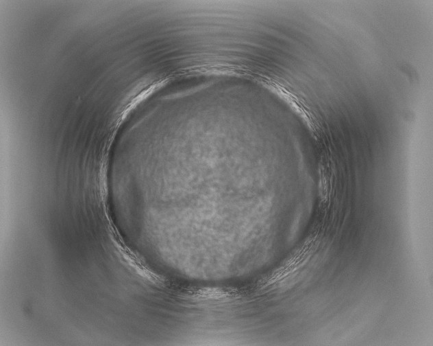 X0000115540390200911201744