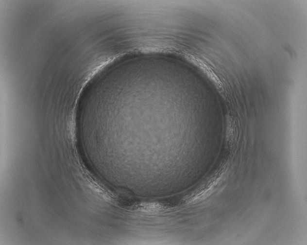 X0000115540391200911201744