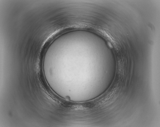 X0000115540392200911201744