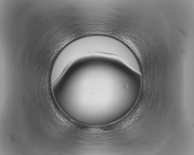 X0000115540393200911201744