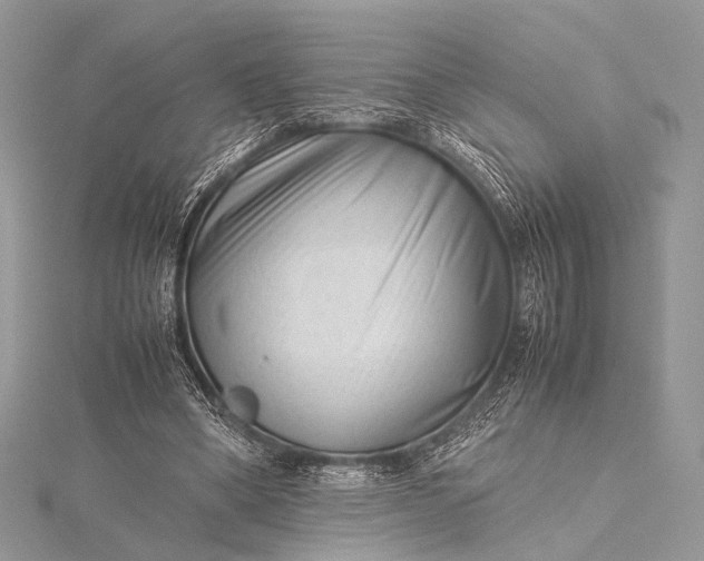 X0000115540394200911201744