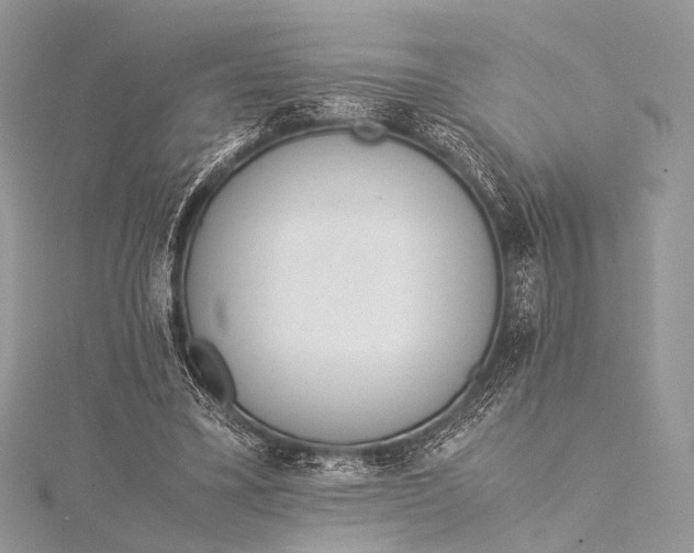 X0000115540395200911201744