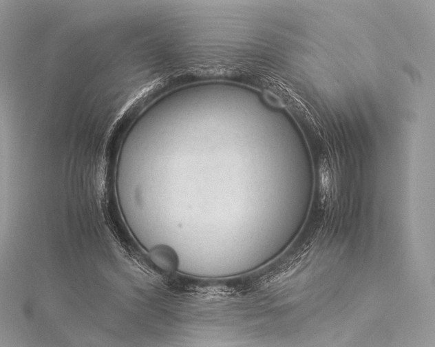 X0000115540396200911201744