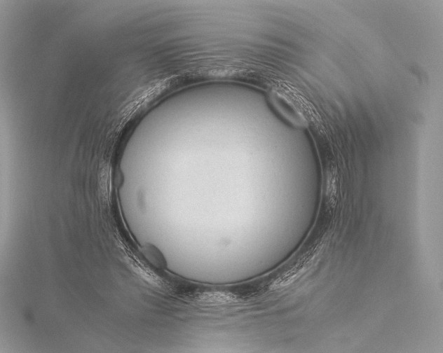 X0000115540397200911201744