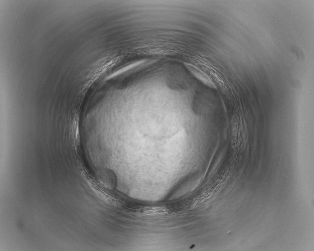 X0000115540398200911201744