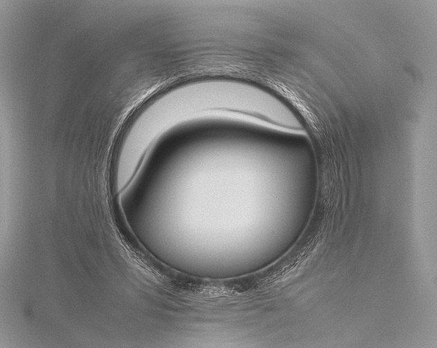 X0000115540399200911201744