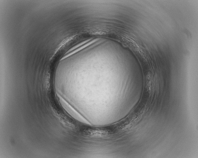 X0000115540400200911201744