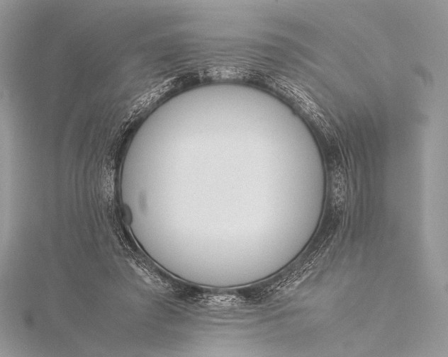 X0000115540401200911201744