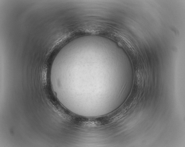 X0000115540404200911201744