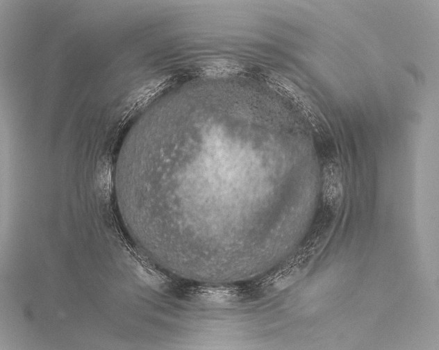 X0000115540405200911201744