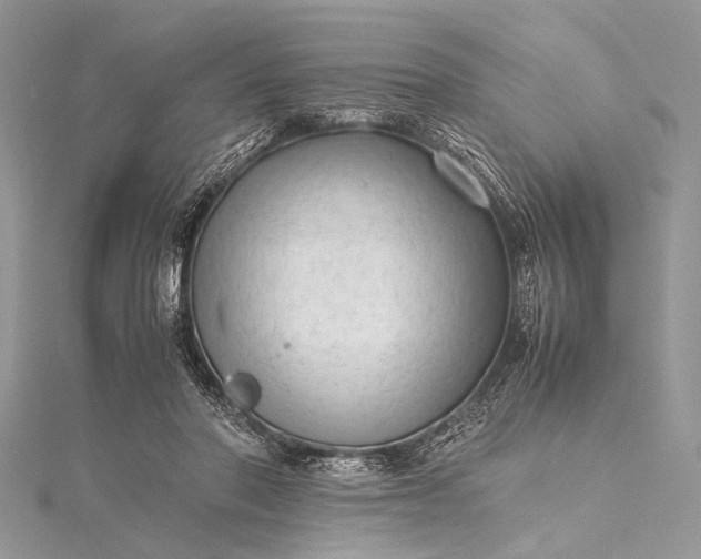 X0000115540406200911201744